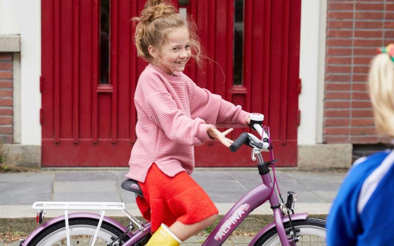 <p>De naam zegt het al: de Alpina Girlpower is een fiets voor actieve meiden die weten wat ze willen. Frisse kleuren in combinatie met sporty prints, speciaal gemaakt voor de stoerdere meiden. De Alpina Girlpower heeft een net wat sportievere zithouding en een lage instap.</p>
