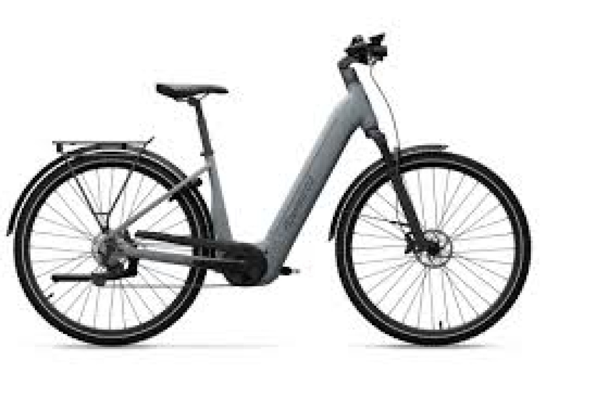 TREKKING Pro Diamant 55