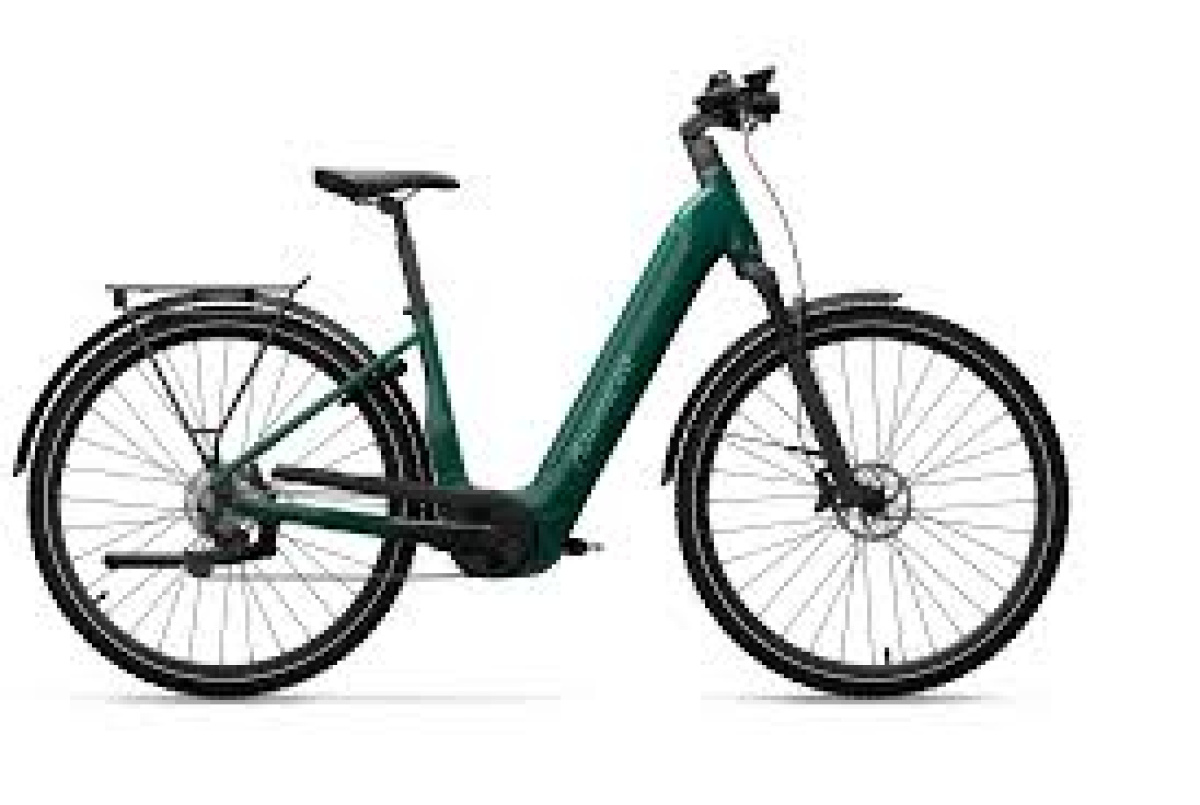 TREKKING Pro Diamant 55